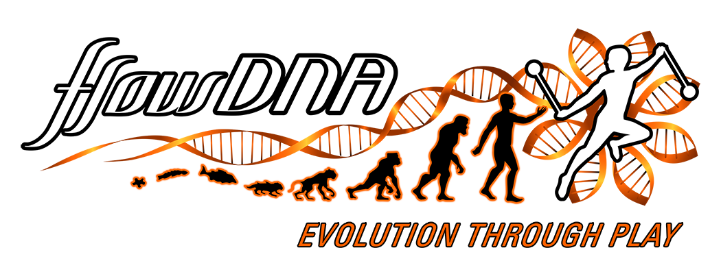 Flow DNA banner - Evolution through Play