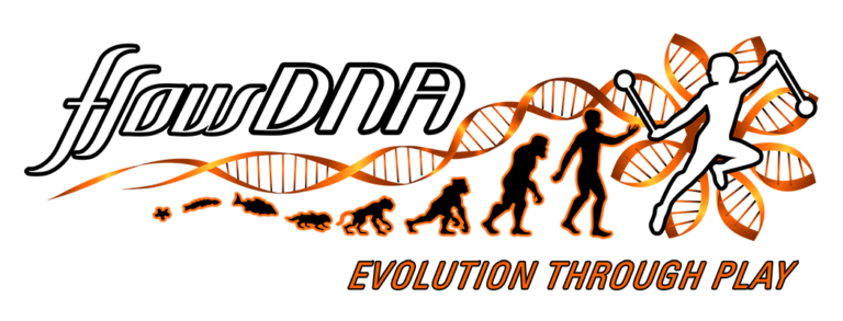 Flow DNA banner - Evolution through Play
