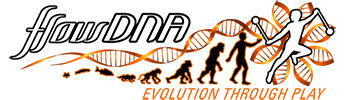 Flow DNA banner - Evolution through Play