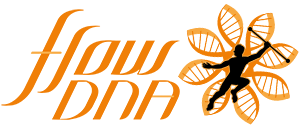 Flow DNA